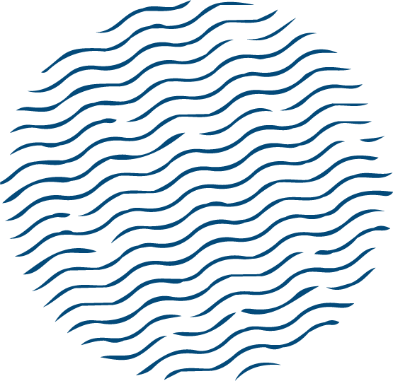 Shape